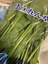 フレックス ほうれんそう