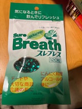 東洋 スレブレス 詰替用 120粒