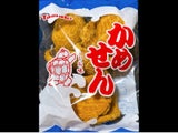 玉木製菓 かめせん しお味 8枚