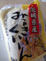 東 みるきーくいーん 5kg