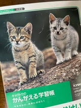 極東 ムツゴロウ かんじのおけいこ50字 L415