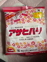 朝日 和紙防虫剤アサヒパラ 120g