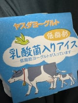 ヤスダ 低脂肪乳酸菌入りアイス 100ml