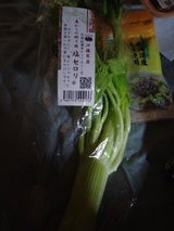 アグロオーガ 松八セロリ 200g