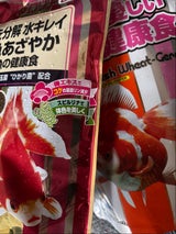 キョーリン プロリア色揚 200g