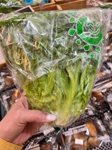 生子 生き生きグリーンカール 1P