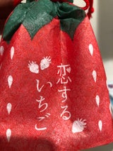 静風 恋するいちご巾着 5個