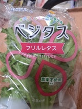 スプレッド ベジタスプリーツレタス 1P