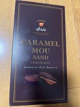 竹沢製茶 キャラメルムーサンド チョコ 5個