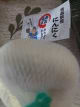 マルミ にんにく BL