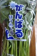 田中農園 ほうれんそう
