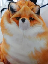 ロイズコンフェクト 生チョコレートシャンパン20P