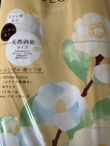 特種東海 エコロジー107シングル 50m×12R