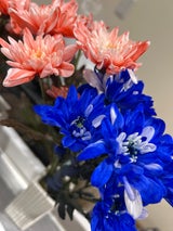 松本屋 洋花 302