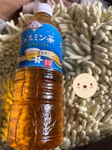ダイドー 贅沢香茶 ジャスミン茶 525ml