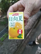 サンA 日向夏ジュース100% 125ml