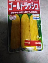 サカタのタネ スイートコーンゴールドラッシュ種