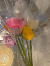 サンクス 花束 1P