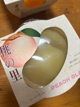 ジュポン 桃の里 250g