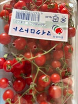 三河温室園芸 マイクロトマト