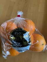 ヒロ カリフォルニア産100年オレンジ