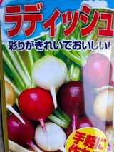 RHLF レインボーラディッシュ