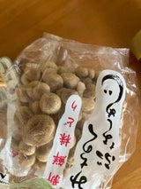 JAもがみ ぶなしめじ