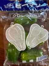 大塚農園 ピーマン