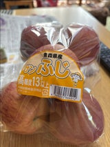 大中 サンフジ13度黄色 6P