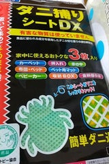 東京企画 ダニ取りシートDX 3枚入