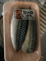 ベストサプライ 塩さばフィーレ昆布エキス入 2枚