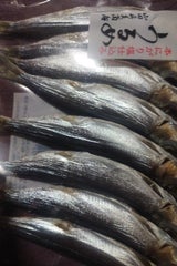 山田 うるめ丸干し