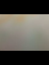 明治 コーンソフト 300g