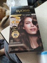 サイオス クレイクリーム ヘアカラー 4GR 1個