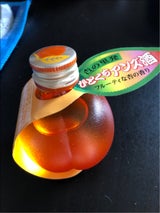 シャトー酒折 ひとくちアンズ酒 49ml