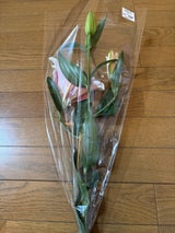 デリフラワー カジュアルフラワー 1P