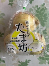 JAあいち たまねぎ 600g