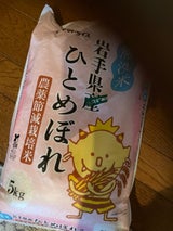 大和 BG無洗米岩手ひとめぼれ 5kg