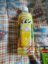 沖縄ボトラーズ パイン果汁10% 500ml