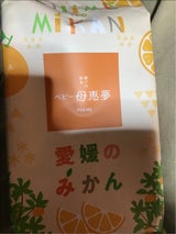 母恵夢 ベビー母恵夢 愛媛のみかん 袋 6個