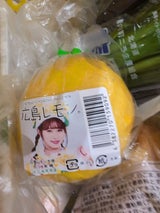 JA広島 国産レモン 袋入