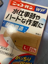 日廣薬品 ニッコーバンWP 508L 20P
