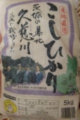益子 茨城の米 こしひかり 5kg