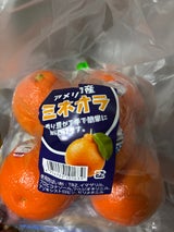 水浅 ミネオラ 5P