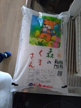 パールライス 熊本県産 森のくまさん 5kg