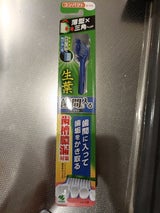 生葉歯間に入るブラシ コンパクト ふつう 1本
