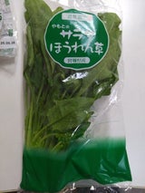 JAいしのまき サラダほうれんそう 80g