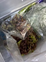 船橋農産物 サニーレタス