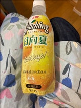 JA宮崎 サンAスパークリング日向夏 500ml