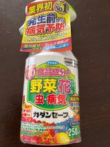 フマキラー カダンセーフ 250ml